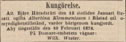 POST- OCH INRIKES TIDNINGAR – 14 februari 1874