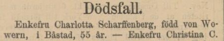 HELSINGBORGS TIDNING – 7 november 1884