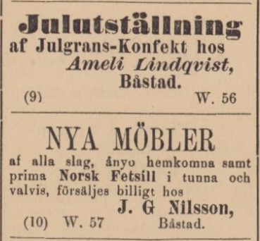 BÅSTADS TIDNING – 9 december 1885 (forts.)