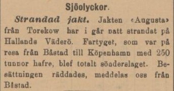 HELSINGBORGS DAGBLAD – 18 januari 1896 (forts.)