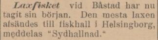 SYDHALLAND – 10 mars 1899