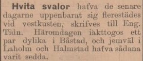 ÅBY-ÅSTORPSTIDNINGEN – 24 augusti 1899 (forts.)