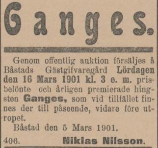 SYDHALLAND – 9 mars 1901