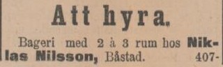 SYDHALLAND – 9 mars 1901 (forts.)