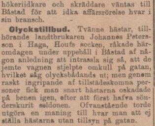 SYDHALLAND – 2 april 1901 (forts.)