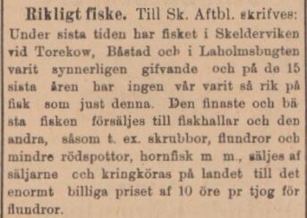 SKÅNSKA AFTONBLADET – 17 maj 1901