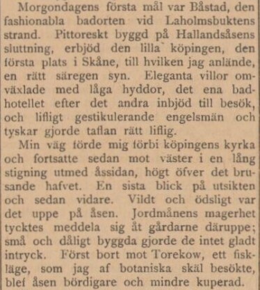 SMÅLANDS ALLEHANDA – 17 oktober 1901