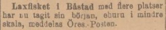 ÖRESUNDSPOSTEN – 5 mars 1902