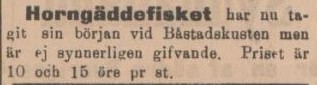 SYDHALLAND – 24 maj 1902 (forts.)